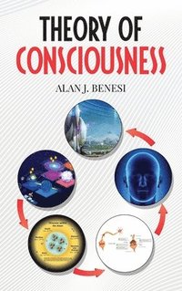 bokomslag Theory of Consciousness