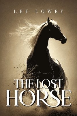 Lee Lowry - Lost Horse, Häftad