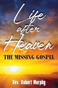 bokomslag Life After Heaven