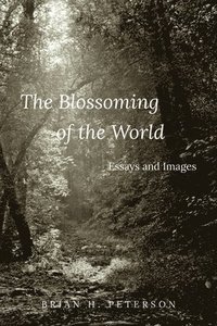 bokomslag Blossoming of the World