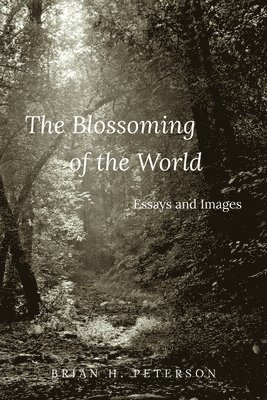 bokomslag Blossoming of the World
