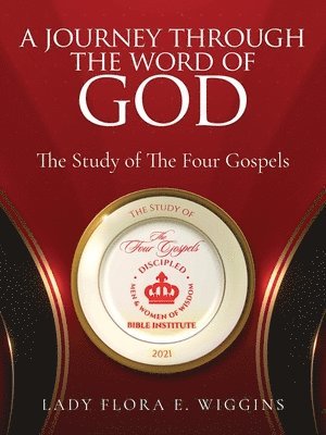 bokomslag Journey Through the Word of God