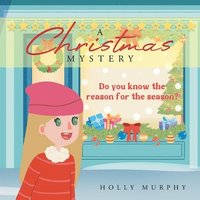 bokomslag Christmas Mystery