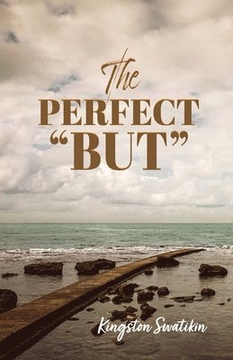 bokomslag Perfect 'But'