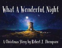 bokomslag What a Wonderful Night: A Christmas Story