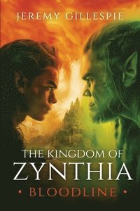 bokomslag Kingdom of Zynthia