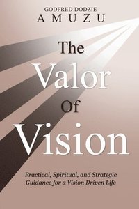 bokomslag The Valor of Vision