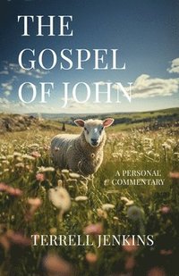 bokomslag Gospel of John