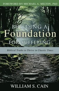 bokomslag Building a Foundation for Suffering