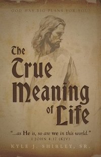 bokomslag True Meaning of Life