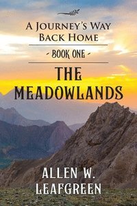 bokomslag The Meadowlands: A Journey's Way Back Home