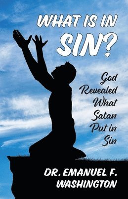 bokomslag What Is In Sin?