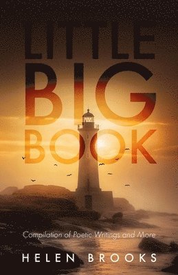 bokomslag Little Big Book