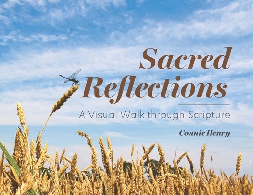 Sacred Reflections: A Visual Walk through Scripture: A Visual Walk 1