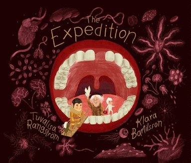 bokomslag Expedition