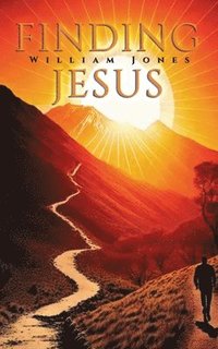 bokomslag Finding Jesus