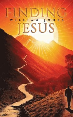 bokomslag Finding Jesus