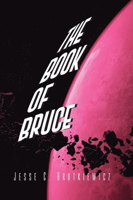 bokomslag The Book of the Bruce