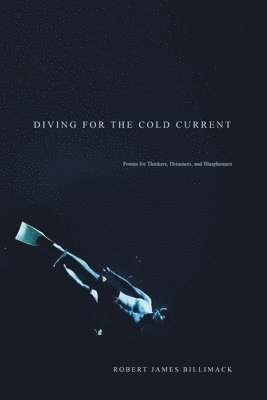 bokomslag Diving for the Cold Current