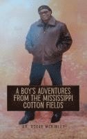 bokomslag A Boy's Adventures from the Mississippi Cotton Fields