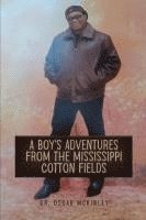 bokomslag A Boy's Adventures from the Mississippi Cotton Fields