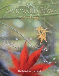 bokomslag An Awkward Bow: Poems