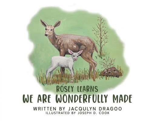 Jacqulyn Dragoo - Rosey Learns: We are Wonderfully Made, Häftad