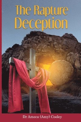 bokomslag Rapture Deception