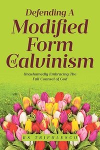 bokomslag Defending a Modified Form of Calvinism