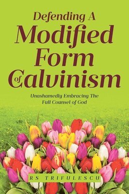 bokomslag Defending a Modified Form of Calvinism