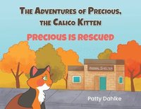 bokomslag Adventures of Precious, the Calico Kitten