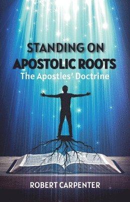 bokomslag Standing on Apostolic Roots