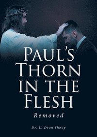 bokomslag Paul's Thorn in the Flesh