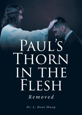 bokomslag Paul's Thorn in the Flesh