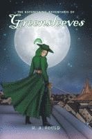 bokomslag Astonishing Adventures of Greensleeves