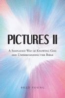Brad Young, Young,Brad, - Pictures II, Häftad