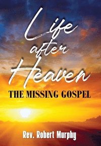 bokomslag Life After Heaven