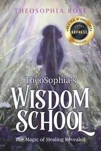bokomslag TheoSophia's Wisdom School