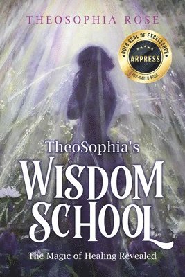 bokomslag TheoSophia's Wisdom School