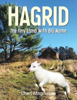 Hagrid The Tiny Lamb With The Big Name 1