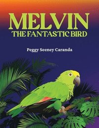 bokomslag Melvin The Fantastic Bird