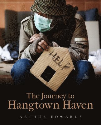 bokomslag Journey to Hangtown Haven