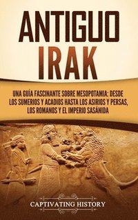 bokomslag Antiguo Irak