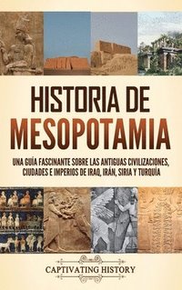 bokomslag Historia de Mesopotamia: Una guía fascinante sobre las antiguas civilizaciones, ciudades e imperios de Iraq, Irán, Siria y Turquía