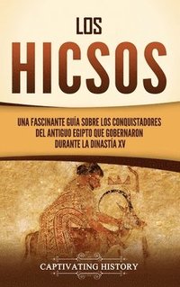bokomslag hicsos