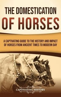 bokomslag Domestication of Horses