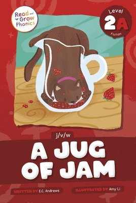 bokomslag A Jug of Jam