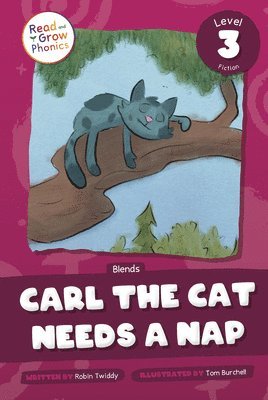 bokomslag Twiddy, R: Carl the Cat Needs a Nap