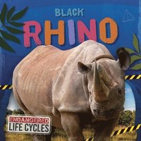 bokomslag Black Rhino