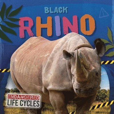 Black Rhino 1